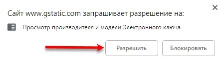 Портал документации Рутокен > Dropbox, Google, Facebook и Twitter > google-allow.jpg