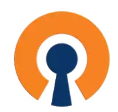 Портал документации Рутокен > Рутокен VPN. Руководство пользователя > openVpnConnect.jpg